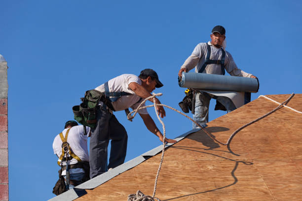 Best Roof Gutter Cleaning  in Anton, TX