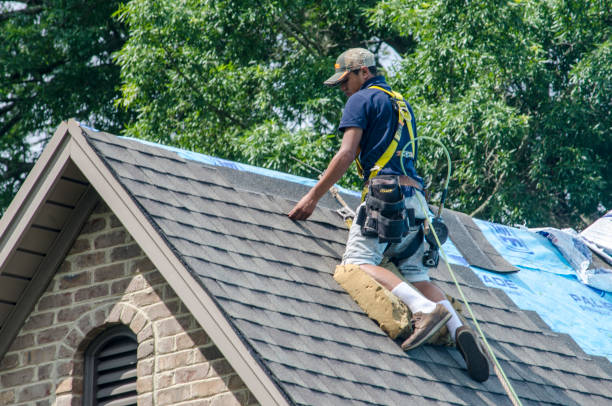 Best Storm Damage Roof Repair  in Anton, TX